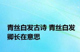 青丝白发古诗 青丝白发卿长在意思 