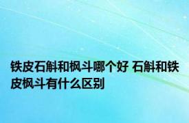 铁皮石斛和枫斗哪个好 石斛和铁皮枫斗有什么区别