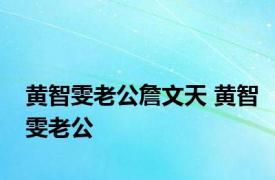 黄智雯老公詹文天 黄智雯老公 