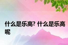 什么是乐高? 什么是乐高呢