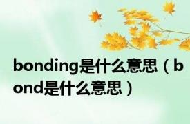 bonding是什么意思（bond是什么意思）