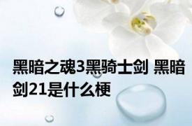 黑暗之魂3黑骑士剑 黑暗剑21是什么梗