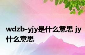 wdzb-yjy是什么意思 jy什么意思