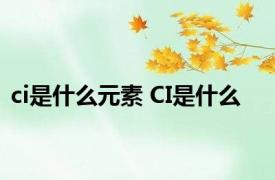 ci是什么元素 CI是什么