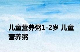 儿童营养粥1-2岁 儿童营养粥 