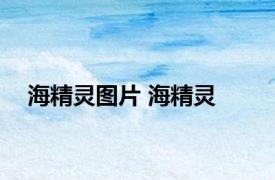 海精灵图片 海精灵 