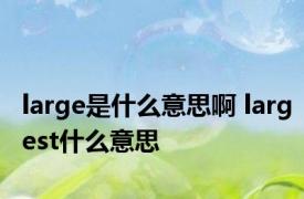 large是什么意思啊 largest什么意思 