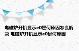 电磁炉开机显示e0是何原因怎么解决 电磁炉开机显示e0是何原因