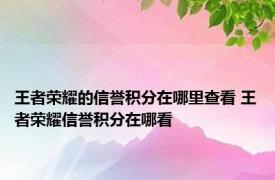 王者荣耀的信誉积分在哪里查看 王者荣耀信誉积分在哪看