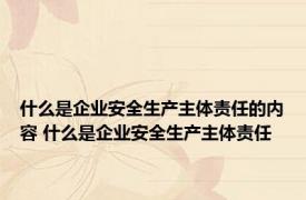 什么是企业安全生产主体责任的内容 什么是企业安全生产主体责任