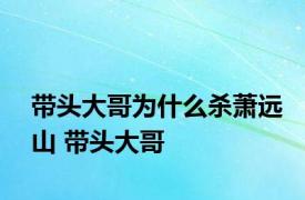 带头大哥为什么杀萧远山 带头大哥 