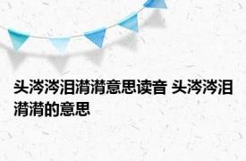 头涔涔泪潸潸意思读音 头涔涔泪潸潸的意思