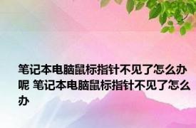 笔记本电脑鼠标指针不见了怎么办呢 笔记本电脑鼠标指针不见了怎么办