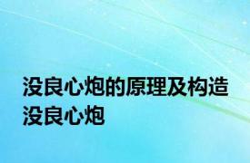 没良心炮的原理及构造 没良心炮 