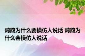 鹦鹉为什么要模仿人说话 鹦鹉为什么会模仿人说话