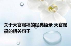 关于天官赐福的经典语录 天官赐福的相关句子