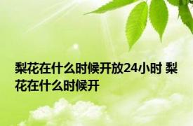 梨花在什么时候开放24小时 梨花在什么时候开