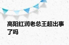 高阳红润老总王超出事了吗