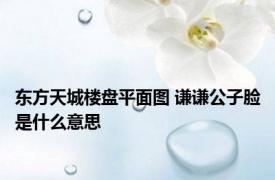 东方天城楼盘平面图 谦谦公子脸是什么意思 