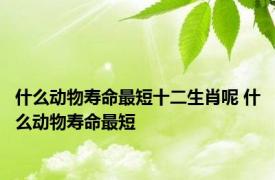 什么动物寿命最短十二生肖呢 什么动物寿命最短