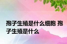 孢子生殖是什么细胞 孢子生殖是什么