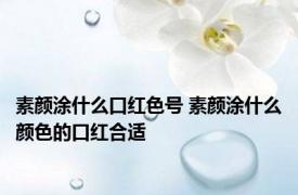 素颜涂什么口红色号 素颜涂什么颜色的口红合适