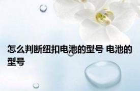 怎么判断纽扣电池的型号 电池的型号 