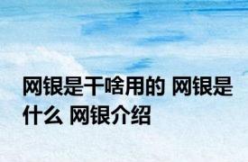 网银是干啥用的 网银是什么 网银介绍