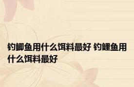 钓鲫鱼用什么饵料最好 钓鲤鱼用什么饵料最好 