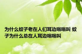 为什么蚊子老在人们耳边嗡嗡叫 蚊子为什么总在人耳边嗡嗡叫