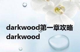 darkwood第一章攻略 darkwood 