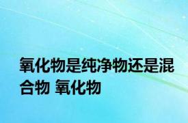 氧化物是纯净物还是混合物 氧化物 