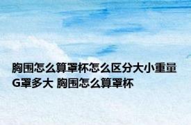 胸围怎么算罩杯怎么区分大小重量G罩多大 胸围怎么算罩杯 