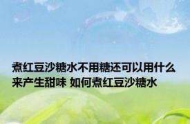 煮红豆沙糖水不用糖还可以用什么来产生甜味 如何煮红豆沙糖水