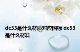 dc53是什么材质对应国标 dc53是什么材料 