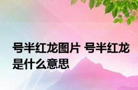 号半红龙图片 号半红龙是什么意思