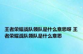 王者荣耀战队领队是什么意思呀 王者荣耀战队领队是什么意思