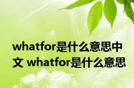 whatfor是什么意思中文 whatfor是什么意思