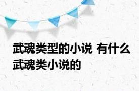 武魂类型的小说 有什么武魂类小说的