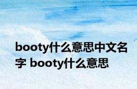 booty什么意思中文名字 booty什么意思 