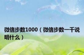 微信步数1000（微信步数一千说明什么）