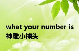 what your number is 神雕小捕头 