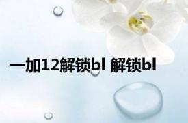 一加12解锁bl 解锁bl 