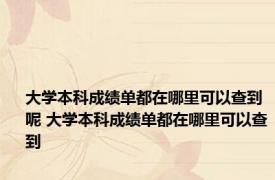 大学本科成绩单都在哪里可以查到呢 大学本科成绩单都在哪里可以查到