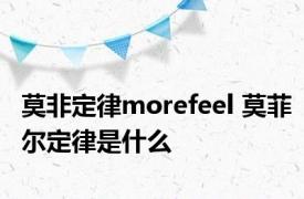 莫非定律morefeel 莫菲尔定律是什么