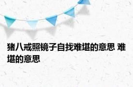 猪八戒照镜子自找难堪的意思 难堪的意思 