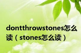 dontthrowstones怎么读（stones怎么读）