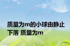 质量为m的小球由静止下落 质量为m 