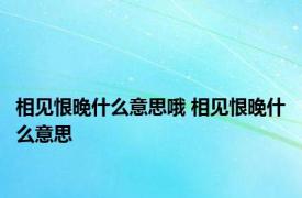 相见恨晚什么意思哦 相见恨晚什么意思 