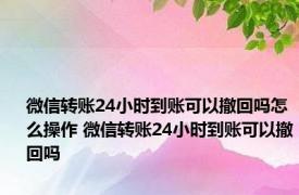 微信转账24小时到账可以撤回吗怎么操作 微信转账24小时到账可以撤回吗